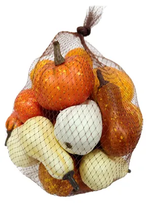 Produktbild von Zierkürbis Deko 20er-Set in Herbstfarben 7 x 6,5 cm