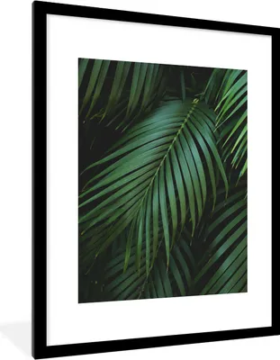 Produktbild von MuchoWow® Gerahmtes Poster Palmenblätter - Palmen - Tropisch 60x80 cm - Poster mit Schwarzem Bilderrahmen Wandposter Rahmen Foto Bilder - Wohnzimmer - Dekorationen - Prämie