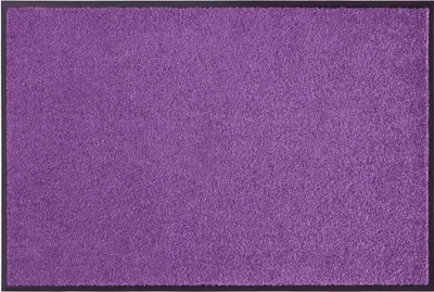 Obrázek produktu pro 40x60 cm Rohožka Wash & Clean 103838 Violett