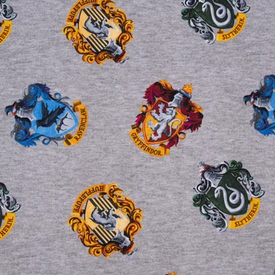 Produktbild von Baumwolljersey Digitaldruck Harry Potter Hauswappen grau bunt 1,45m