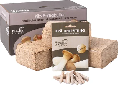 Produktbild von Pilzzuchtset Kräuterseitling | Pilzzucht von Hawlik Pilzbrut