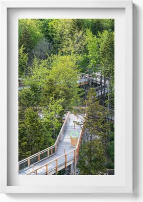 Produktbild von Weg in Krynica Zdrój– Wandbild mit Rahmen – Gerahmtes Bild  – Wanddekoration – 40x60 cm – Weiß