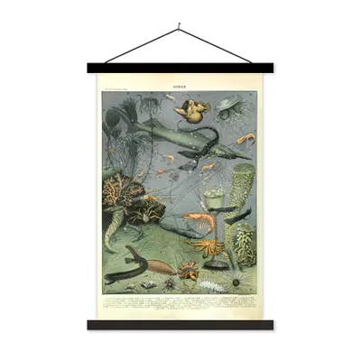 Produktbild von MuchoWow® Textilposter Meerestiere - Korallen - Natur 40x60 cm mit schwarzem Rahmen - Wanddekorationen