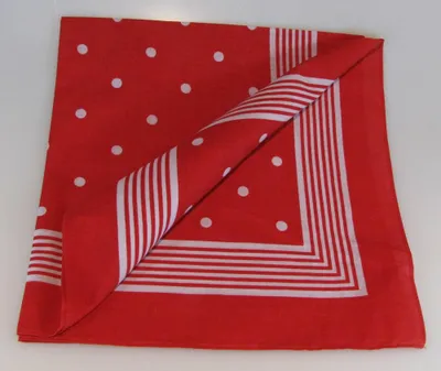 Produktbild von Vierecktuch 70x70cm große Punkte rot Halstuch Bandana Baumwolle