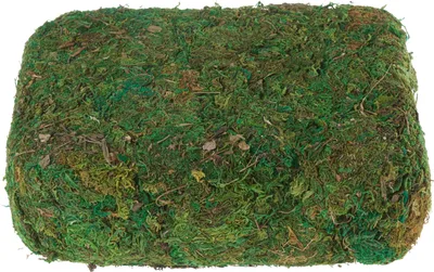 Produktbild von VBS XXL Moos, 750 g