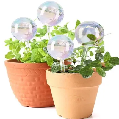 Imagen del producto de Elzusha - Esferas de vidrio para regar plantas - Juego de 4 unidades