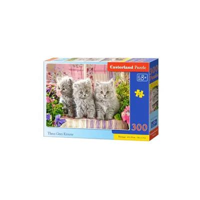 Obrázek produktu pro CASTORLAND Puzzle 300 dílků - Tři šedá koťata