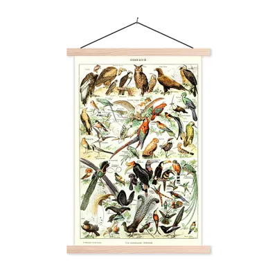 Produktbild von MuchoWow® Textilposter Vogel - Tiere - Natur 60x90 cm mit holzfarbenen Rahmen - Textil