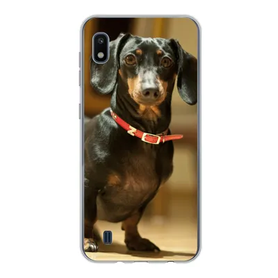 Produktbild von MuchoWow® Handyhülle Schutzhülle Hülle für Samsung Galaxy A10 Porträt eines schwarzen Dackels Silikon Softcase Handy Hülle - Schutzhülle