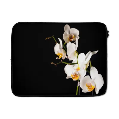 Produktbild von MuchoWow® Laptop Hülle 17 Zoll Laptoptasche Orchidee - Blumen - Pflanzen - Botanisch - Zipper - Schutzabdeckung