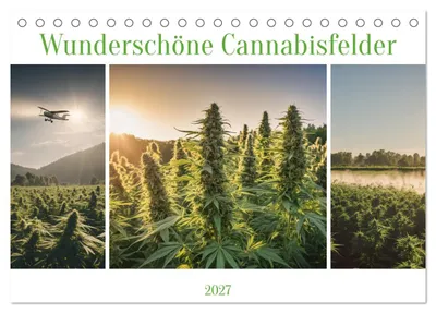 Produktbild von Wunderschöne Cannabisfelder (Tischkalender 2027 DIN A5 quer), CALVENDO Monatskalender
