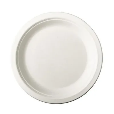 Produktbild von 500 Papstar Teller, Zuckerrohr pure ungeteilt Ø 18 cm, 2 cm weiss 84582