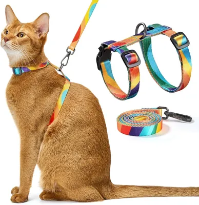 Image de Harnais pour chat avec laisse, réglable, léger, pour les chats de petite et moyenne taille, idéal pour les promenades