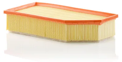 Immagine prodotto di Filtro aria MANN-FILTER C 36 030