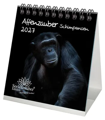 Produktbild von Schimpansenzauber Tischkalender 10x10cm für 2027 Affen - Seelenzauber