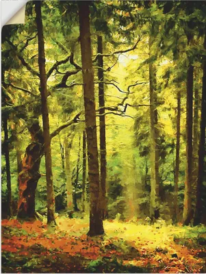 Produktbild von ARTland Wandbild, selbstklebend Wald II Größe: 90x120 cm