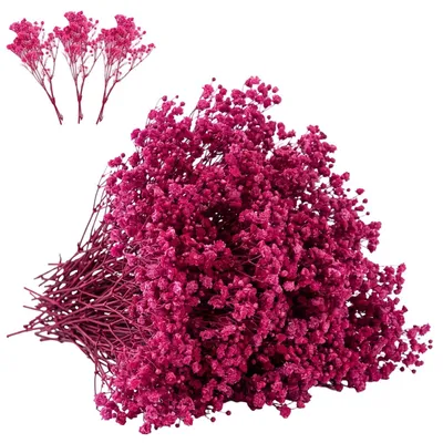 Trockenblumen, rosa, 50 Stück, 15,6 cm, für Bastelprojekte