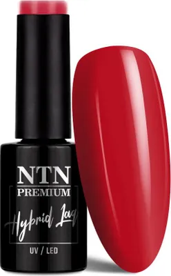 Obrázok produktu pre Ntn Premium Viral farby hybridný lak 5 g č. 295
