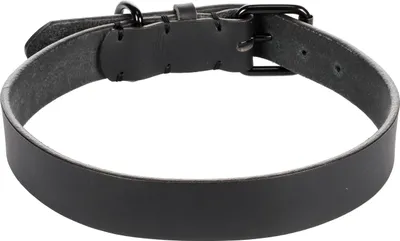 Productafbeelding van Halsband LEANO Zwart XXL 52-62 cm 30 mm