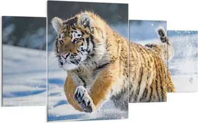 Produktbild von Bild auf Leinwand - Leinwandbild - tiger tier - 160x90cm - Wand Bild - Wanddeko - Wandbilder - Leinwanddruck - Bilder - Kunstdruck - Wanddekoration - Leinwand bilder - Wandkunst - DL160x90-3928
