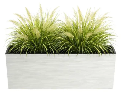 Produktbild von HowHomely | Blumentopf - Pflanzentopf - creme - 56 x 19 cm - Übertopf - Rillenstruktur - Deko
