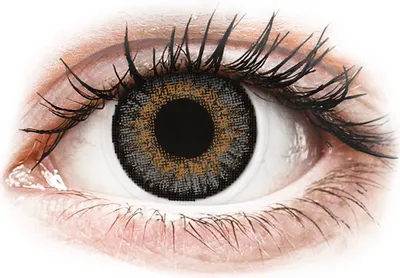 Produktbild von FreshLook One Day Color Grey - ohne Stärke (10 Linsen) Stärke: 0.00, BC: 8.60, DIA: 13.80