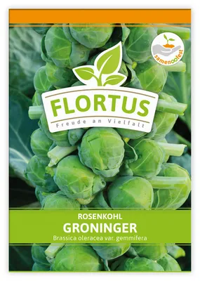 Produktbild von Rosenkohl Groninger | Rosenkohlsamen von FLORTUS