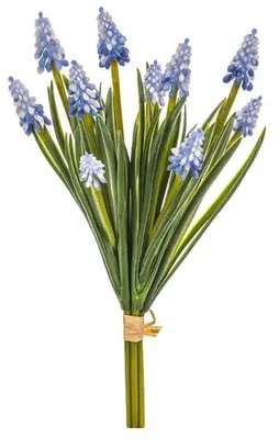 Obrázek produktu pro Autronic Modřenec modrý UKN100 BLUE