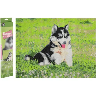 Obrázek produktu pro GRAFIX Diamantový rám Husky 40x50cm