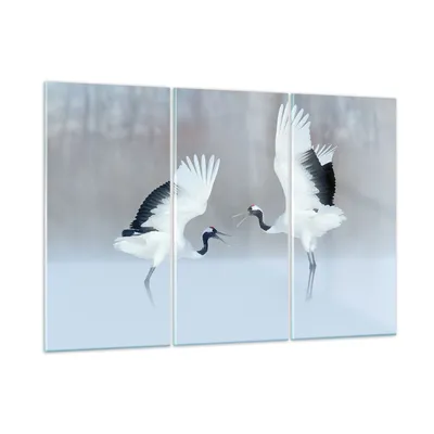 Produktbild von Bilder auf glas - 3 Teile - Kraniche kämpfen tanzen - 165x110cm - Glasbilder - Wandbilder - Bilder - zum Aufhängen bereit - Wanddekoration aus Glas - Glas Bilder - Wandbild auf Glas - GCE165x110-4497
