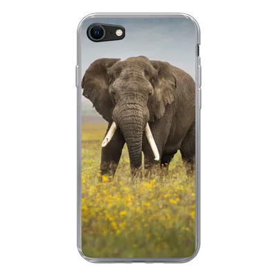 Produktbild von MuchoWow® Handyhülle Schutzhülle Hülle für iPhone 7 Elefant - Blumen - Gras - Tiere - Natur Silikon Softcase Handy Hülle - Kartenhalter