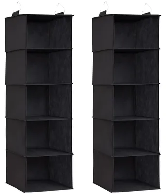 Produktbild von Hängeregal, Kleiderschrank-Organizer, Kleideraufhängungssystem, Stoffaufhängungssystem, faltbar und platzsparend mit Metallhaken, 2-teilig, schwarz