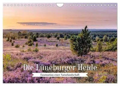 Produktbild von Die Lüneburger Heide - Faszination einer Naturlandschaft (Wandkalender 2027 DIN A4 quer), CALVENDO Monatskalender