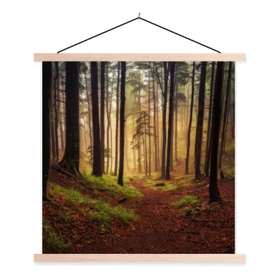 Produktbild von MuchoWow® Textilposter Bäume - Natur - Wald 60x60 cm mit holzfarbenen Rahmen - Wanddekoration