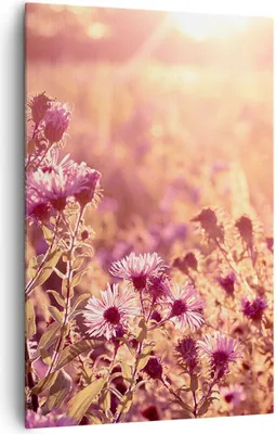 Produktbild von Bild auf Leinwand - Leinwandbild - Einteilig - Wiese Blumen Sonne - 80x120cm - Wand Bild - Wanddeko - Wandbilder - Leinwanddruck - Wanddekoration - Leinwand bilder - Wandbild - PA80x120-4819
