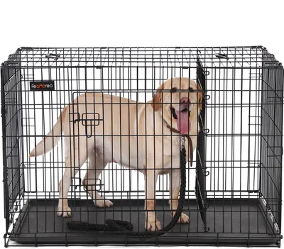 Produktbild von FEANDREA Hundekäfig, 122 x 74.5 x 80.5 cm, zusammenklappbar, transportierbar, 2 Türen, herausnehmbare Schale, abnehmbare Trennwand, einfacher Aufbau ohne Werkzeug, Eisendraht, Schwarz, 8 Kunststoffummantelungen, leichte Reinigung