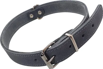 Image de Nobby collier Tabil gris, taille : L / largeur : 25 mm