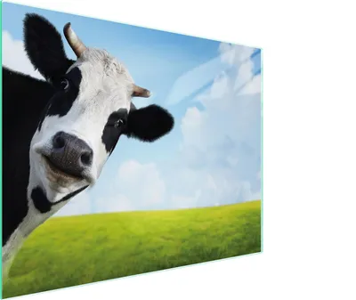 Image de Planche à découper en verre 52x40 vache