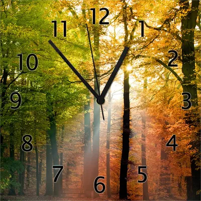 Produktbild von Wallario Design Wanduhr Sonnenuntergang im Herbstwald aus Echtglas, Größe 30 x 30 cm