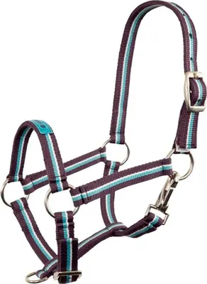 Produktbild von Premiere Fun Halfter Lila Foal XS Lila Foal XS
