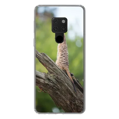 Produktbild von MuchoWow® Handyhülle Schutzhülle Hülle für Huawei P40 Lite Erdmännchen - Ast - Baum Silikon Softcase Handy Hülle - Handy