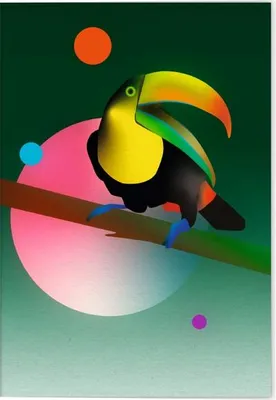 Produktbild von VE Vögel auf Instagram Klappkarte - Motiv Fischertukan 5 Ex.