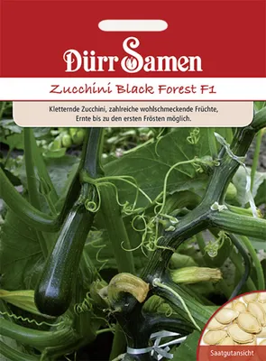Produktbild von Dürr-Samen - Zucchini Black Forest F1 - Saatgut - 1019