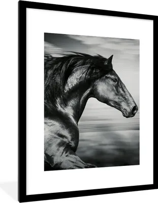 Produktbild von MuchoWow® Gerahmtes Poster Pferd - Tiere - Schwarz - Weiß 60x80 cm - Poster mit Schwarzem Bilderrahmen Wandposter Rahmen Foto Bilder - Wohnzimmer - Dekorationen - Prämie