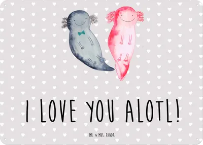 Produktbild von Mr. & Mrs. Panda Schild Axolotl Liebe DIN A5 - Grau Pastell - Geschenk, Jahrestag, Hochzeitstag, tafel, Metallbild, für Frauen, Valentinstag, Blechschild, Partner