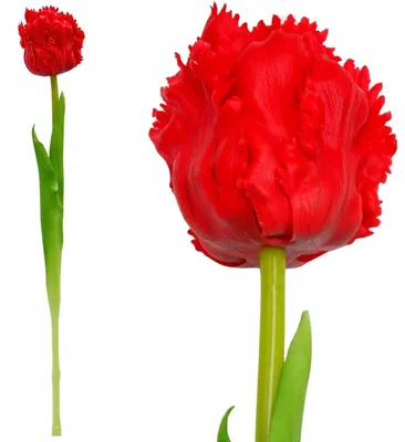 Produktbild von Künstliche Tulpe Rot Silikon Realistische Kunstblume 38 cm Frühlingsdekoration