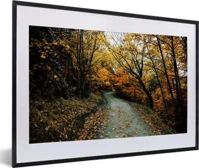 Produktbild von MuchoWow® Gerahmtes Poster Blätter - Herbst - Wald 60x40 cm - Poster mit Schwarzem Bilderrahmen Wandposter Rahmen Foto Bilder - Schlafzimmer - Plakat in Rahmen - Drucken