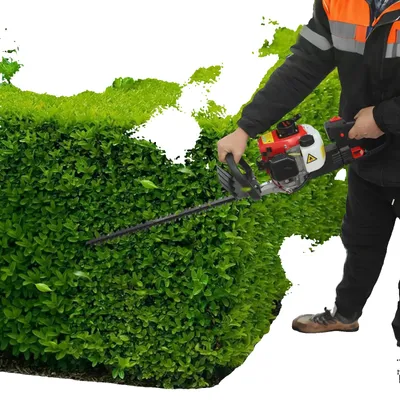 Productafbeelding van Hekkenknipper, benzine aangedreven, dubbelzijdige messen, zwart