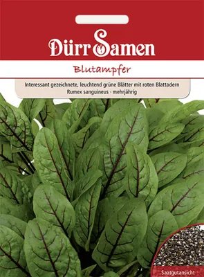 Produktbild von Dürr-Samen - Blutampfer - Saatgut - 4159
