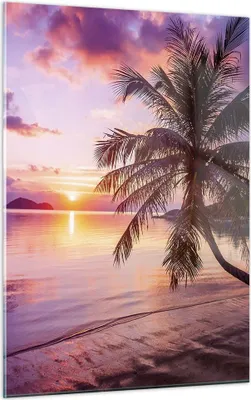 Produktbild von Bilder auf glas - Einteilig - Strand Meer Palme - 50x70cm - Glasbilder - Wandbilder - Bilder - zum Aufhängen bereit - Wanddekoration aus Glas - Glas Bilder - Wandbild auf Glas - GPA50x70-3912